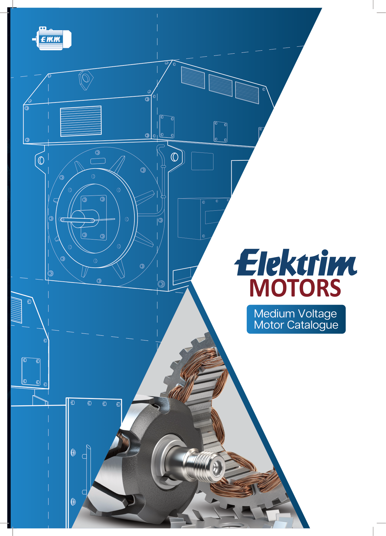 Medium Voltage Motor Catalog preview